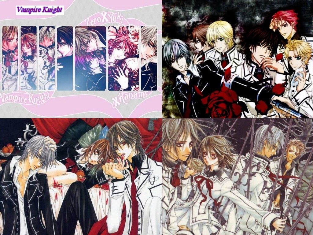 Vampire Knight Streaming Vf Saison 1 Episode 1 vampire knight